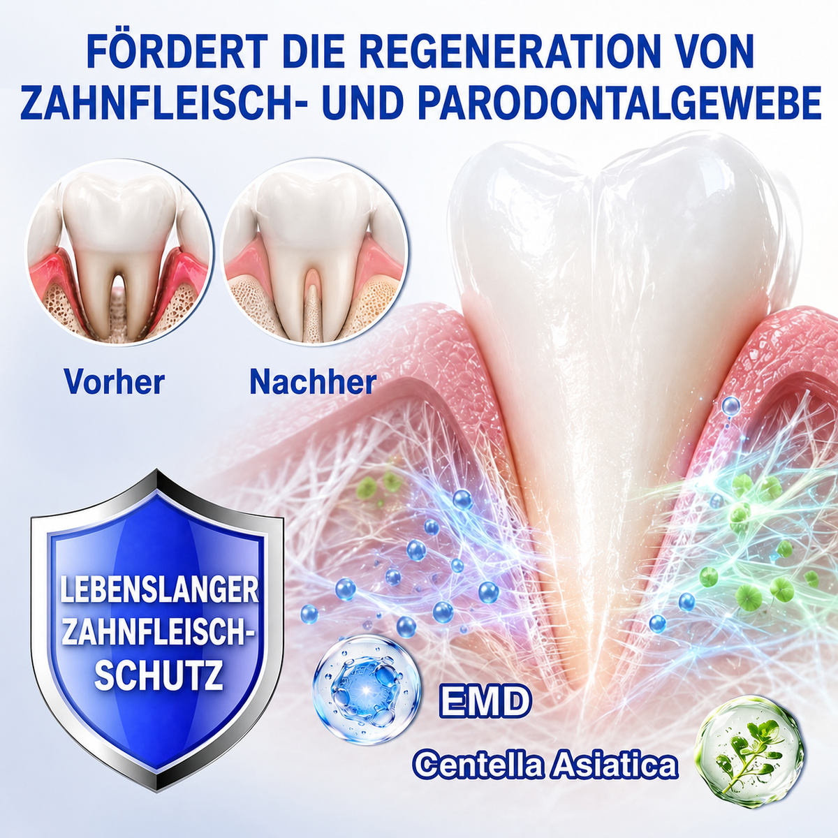 🦷🦢Healrize® GumRevive Gel zur Regeneration des Zahnhalteapparats (bei Zahnfleischbluten, Zahnfleischrückgang und lockeren Zähnen)🦷